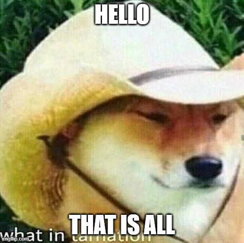 lol | HELLO; THAT IS ALL | image tagged in what in tarnation dog | made w/ Imgflip meme maker