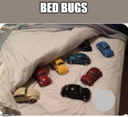 BED BUGS | made w/ Imgflip meme maker