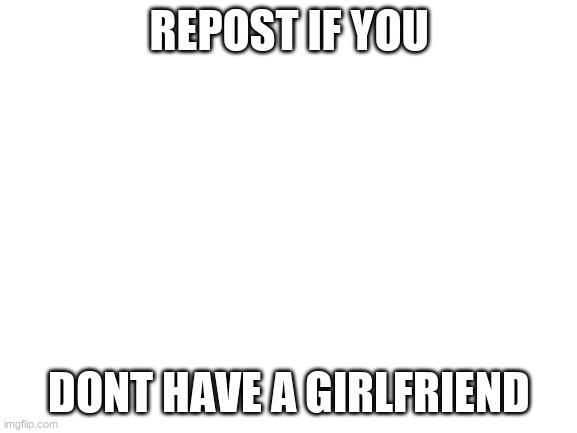 Blank White Template | REPOST IF YOU; DONT HAVE A GIRLFRIEND | image tagged in blank white template | made w/ Imgflip meme maker