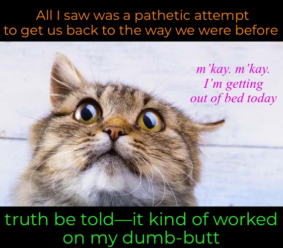 All I saw was a pathetic attempt to get us back to the way we were before m’kay. m’kay. I’m getting out of bed today truth be told—it kind o | made w/ Imgflip meme maker