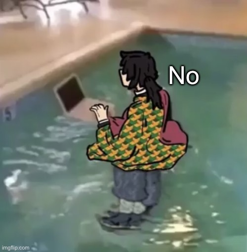 Tomioka with computer in water | No | image tagged in tomioka with computer in water | made w/ Imgflip meme maker