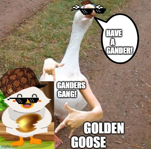 swagger goose | ->            <-
 
   
                                                                    HAVE
                                                                   A 
                                                                            GANDER!



 
 
 
       GANDERS 
GANG! GOLDEN 
GOOSE | image tagged in swagger goose | made w/ Imgflip meme maker