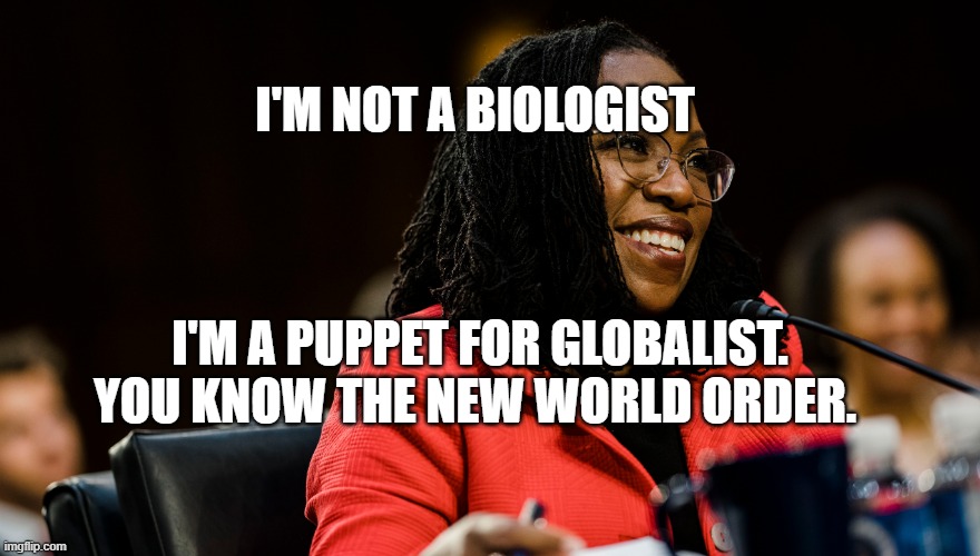 Supreme Court | I'M NOT A BIOLOGIST; I'M A PUPPET FOR GLOBALIST. YOU KNOW THE NEW WORLD ORDER. | image tagged in supreme court | made w/ Imgflip meme maker