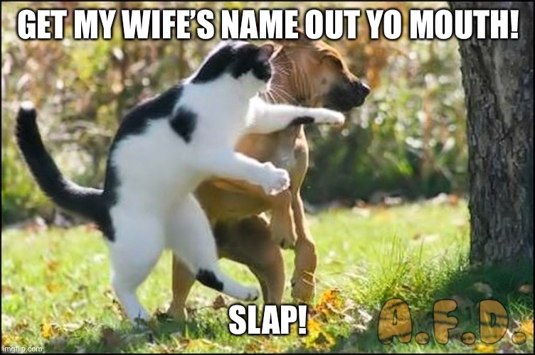 Get my wife’s name out yo mouth! | GET MY WIFE’S NAME OUT YO MOUTH! SLAP! | image tagged in cat slap dog,will smith punching chris rock | made w/ Imgflip meme maker