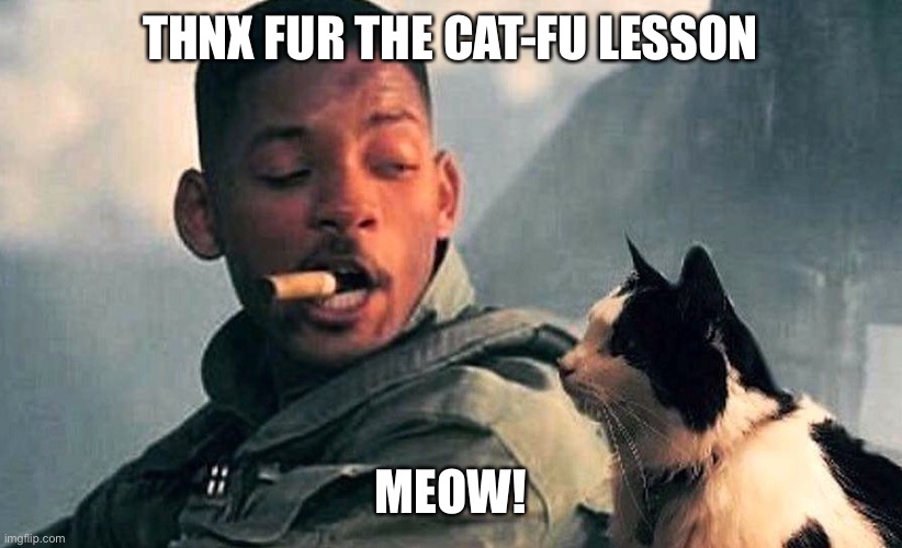 Thnx fur the cat-fu lesson | THNX FUR THE CAT-FU LESSON; MEOW! | image tagged in cats,will smith punching chris rock | made w/ Imgflip meme maker