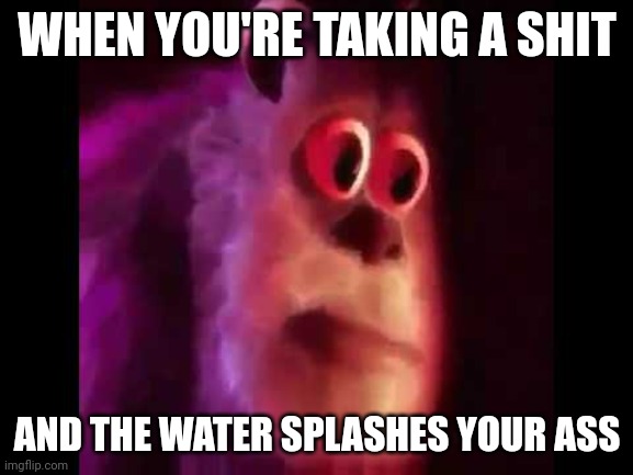 Shitpost of the week | WHEN YOU'RE TAKING A SHIT; AND THE WATER SPLASHES YOUR ASS | image tagged in sully groan | made w/ Imgflip meme maker