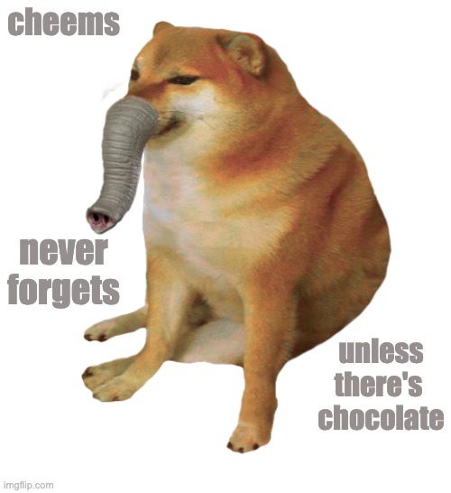 Cheemsephant | cheems; never forgets; unless there's 
chocolate | image tagged in cheemsephant | made w/ Imgflip meme maker