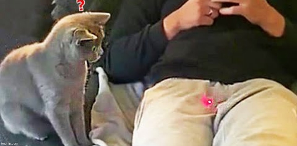 image tagged in funny memes | made w/ Imgflip meme maker