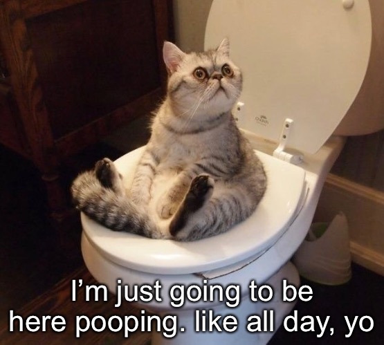 I’m just going to be here pooping. like all day, yo | made w/ Imgflip meme maker