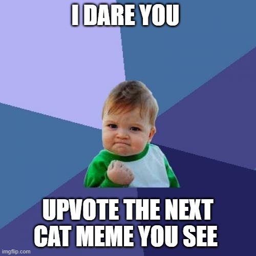 Success Kid Meme | I DARE YOU; UPVOTE THE NEXT CAT MEME YOU SEE | image tagged in memes,success kid | made w/ Imgflip meme maker