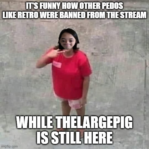 I'm not saying he has to be banned, I think he's really funny and that is the point of the joke | IT'S FUNNY HOW OTHER PEDOS LIKE RETRO WERE BANNED FROM THE STREAM; WHILE THELARGEPIG IS STILL HERE | image tagged in jemy posing at camera | made w/ Imgflip meme maker