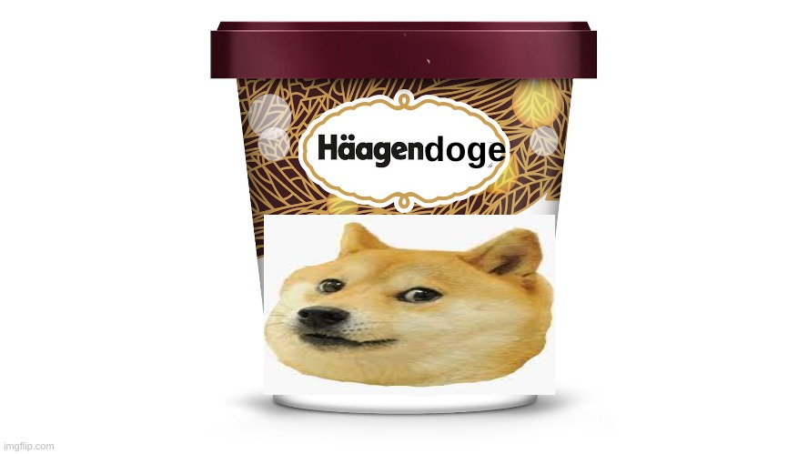 C'mon it gotta be good right.....? | doge | image tagged in doge,ice cream | made w/ Imgflip meme maker