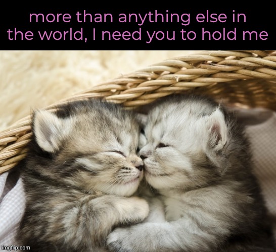 Cuddle time | more than anything else in the world, I need you to hold me | image tagged in memes,cat memes | made w/ Imgflip meme maker