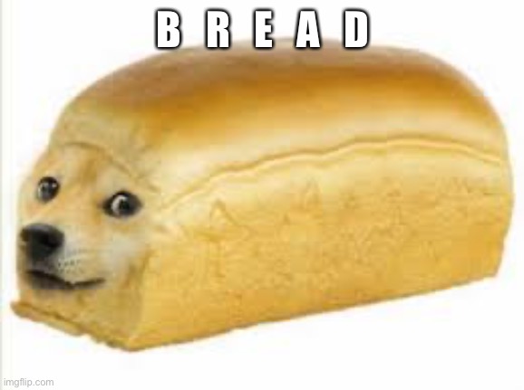 Doge bread | B   R   E   A   D | image tagged in doge bread | made w/ Imgflip meme maker