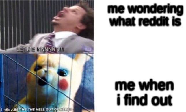 reddit is weird... | me wondering what Reddit is; me when i find out | image tagged in let me in/let me out | made w/ Imgflip meme maker