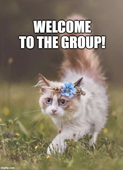 WELCOME TO THE GROUP! | made w/ Imgflip meme maker