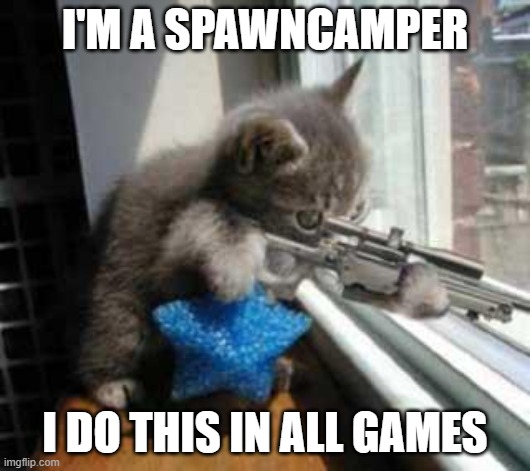 spawncamper | I'M A SPAWNCAMPER; I DO THIS IN ALL GAMES | image tagged in catsniper | made w/ Imgflip meme maker
