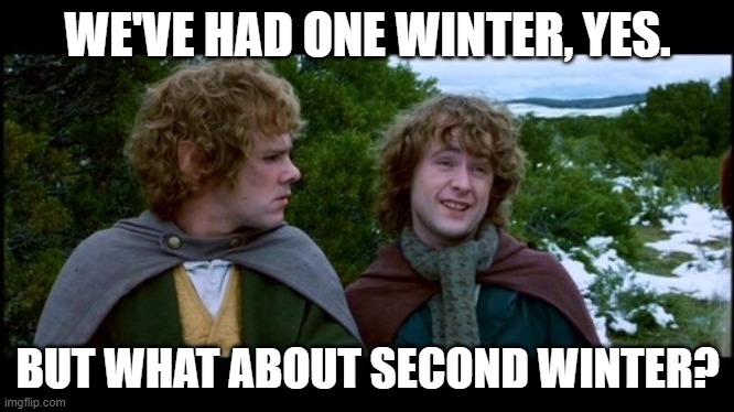 Let's hope it doesn't go past second winter. |  WE'VE HAD ONE WINTER, YES. BUT WHAT ABOUT SECOND WINTER? | image tagged in second breakfast,winter,funny memes,lord of the rings,spring,puppies and kittens | made w/ Imgflip meme maker