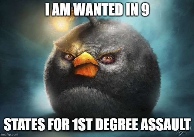 angry birds bomb | I AM WANTED IN 9; STATES FOR 1ST DEGREE ASSAULT | image tagged in angry birds bomb | made w/ Imgflip meme maker