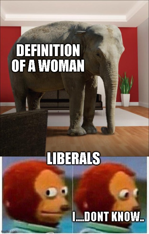 stop pretending you dont know! its just sad! | DEFINITION OF A WOMAN; LIBERALS; I....DONT KNOW.. | image tagged in elephant in the room,memes,monkey puppet | made w/ Imgflip meme maker