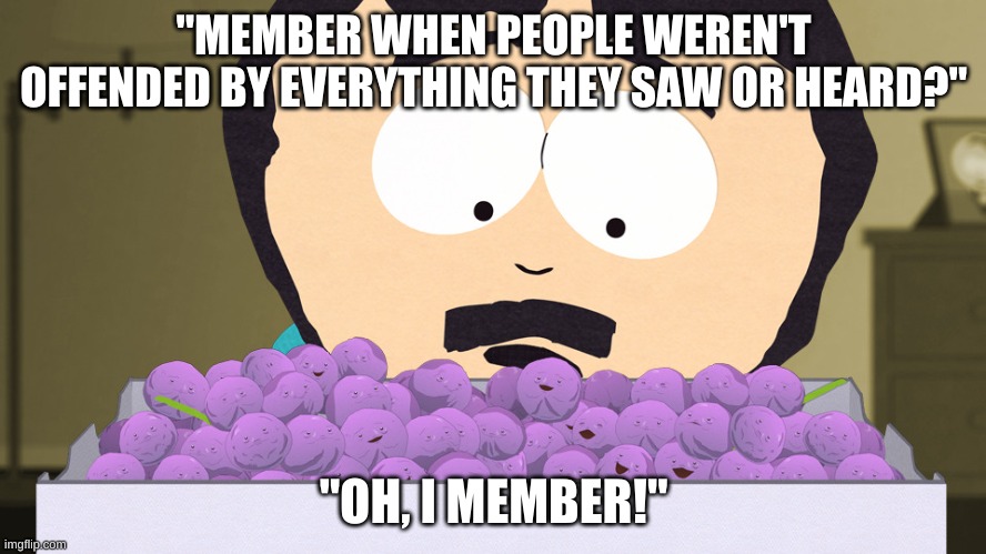TW South Park Member Berries | "MEMBER WHEN PEOPLE WEREN'T OFFENDED BY EVERYTHING THEY SAW OR HEARD?"; "OH, I MEMBER!" | image tagged in tw south park member berries | made w/ Imgflip meme maker