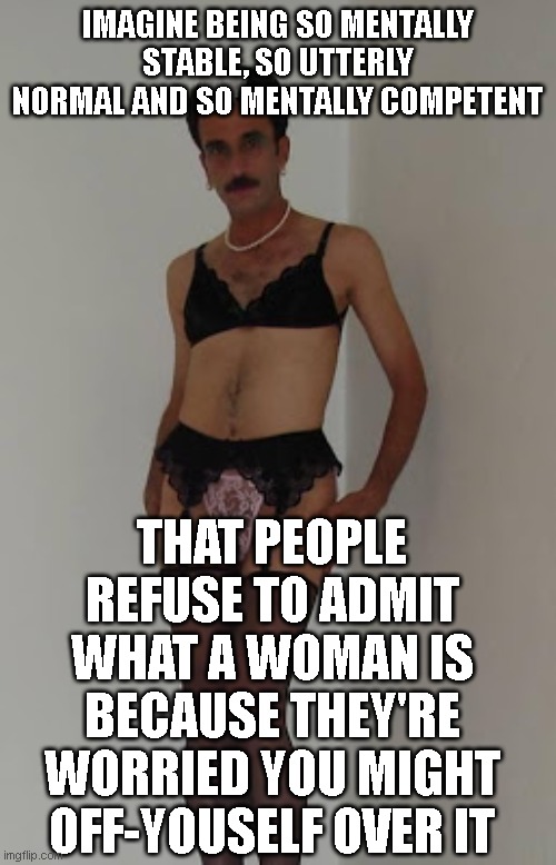 Cross Dresser | IMAGINE BEING SO MENTALLY STABLE, SO UTTERLY NORMAL AND SO MENTALLY COMPETENT THAT PEOPLE REFUSE TO ADMIT WHAT A WOMAN IS BECAUSE THEY'RE WO | image tagged in cross dresser | made w/ Imgflip meme maker