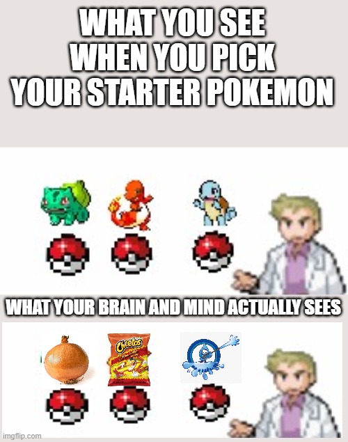 LOGICCCCCCC | WHAT YOU SEE WHEN YOU PICK YOUR STARTER POKEMON; WHAT YOUR BRAIN AND MIND ACTUALLY SEES | image tagged in pokemon,onion,flamin hot cheetos,water pressure | made w/ Imgflip meme maker