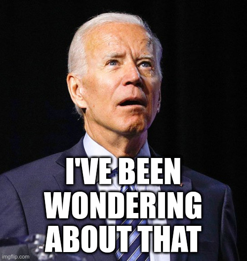 Joe Biden | I'VE BEEN
WONDERING
ABOUT THAT | image tagged in joe biden | made w/ Imgflip meme maker