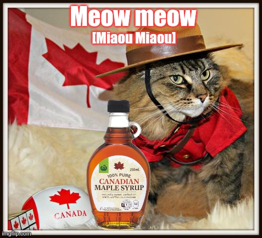 Oh Canada | Meow meow; [Miaou Miaou] | image tagged in canada cat,maple syrup,its time to stop | made w/ Imgflip meme maker