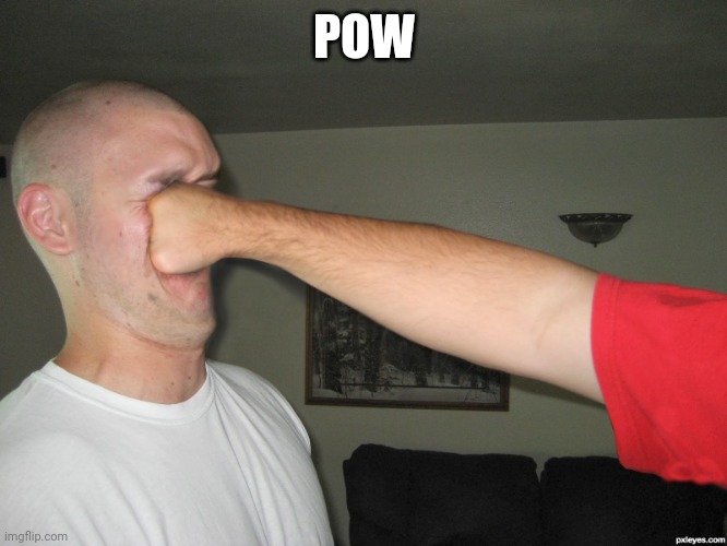 Face punch | POW | image tagged in face punch | made w/ Imgflip meme maker