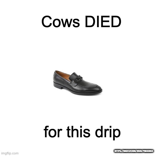Drake Hotline Bling |  Cows DIED; for this drip; HTTPS://IMGFLIP.COM/USER/POKKEN64 | image tagged in memes,original meme | made w/ Imgflip meme maker