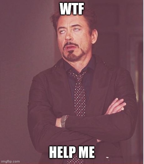Face You Make Robert Downey Jr | WTF; HELP ME | image tagged in memes,face you make robert downey jr | made w/ Imgflip meme maker