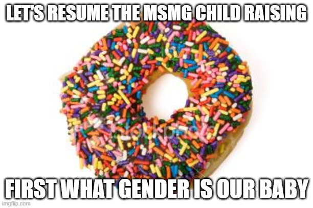 donut | LET'S RESUME THE MSMG CHILD RAISING; FIRST WHAT GENDER IS OUR BABY | image tagged in donut | made w/ Imgflip meme maker