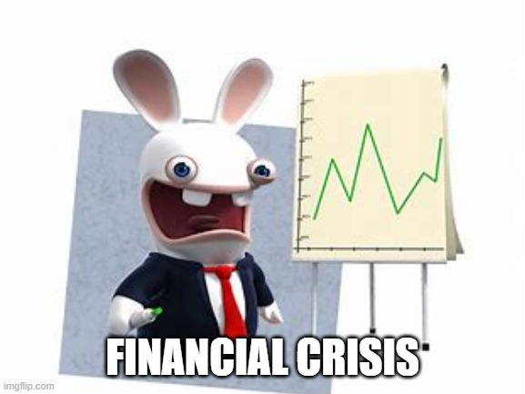 Financial Crisis Rabbid | FINANCIAL CRISIS | image tagged in personal finance | made w/ Imgflip meme maker