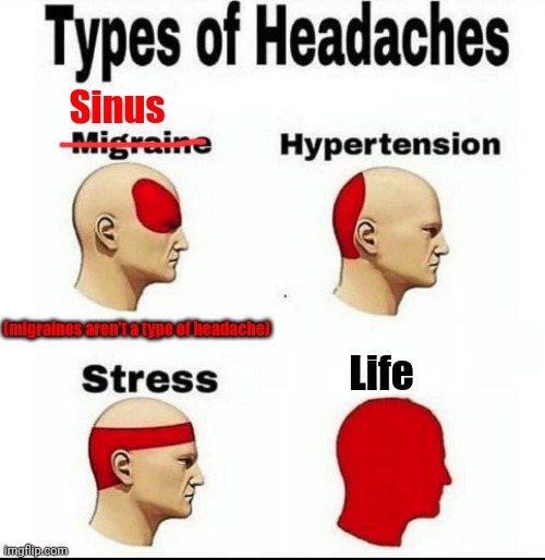 My Headaches | Sinus; (migraines aren't a type of headache); Life | image tagged in types of headaches meme | made w/ Imgflip meme maker