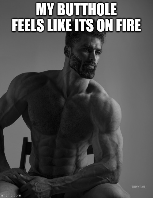 Giga Chad | MY BUTTHOLE FEELS LIKE ITS ON FIRE | image tagged in giga chad | made w/ Imgflip meme maker