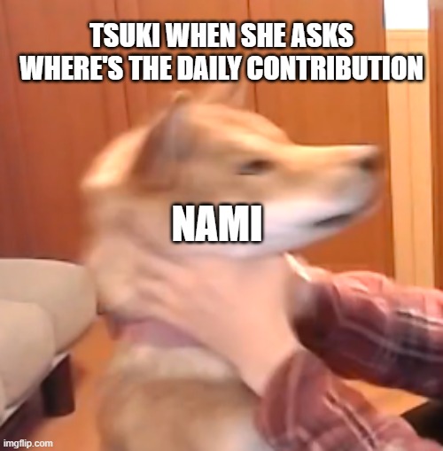 wheremahtax | TSUKI WHEN SHE ASKS WHERE'S THE DAILY CONTRIBUTION; NAMI | image tagged in taxes | made w/ Imgflip meme maker