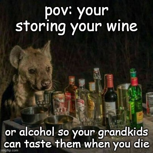 i wan't them to enjoy it | pov: your storing your wine; or alcohol so your grandkids can taste them when you die | image tagged in i want to die | made w/ Imgflip meme maker