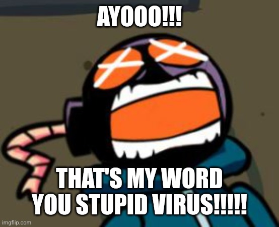 ballastic from whitty mod screaming | AYOOO!!! THAT'S MY WORD YOU STUPID VIRUS!!!!! | image tagged in ballastic from whitty mod screaming | made w/ Imgflip meme maker