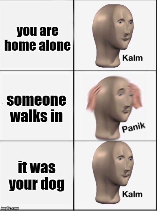 clever | you are home alone; someone walks in; it was your dog | image tagged in reverse kalm panik | made w/ Imgflip meme maker