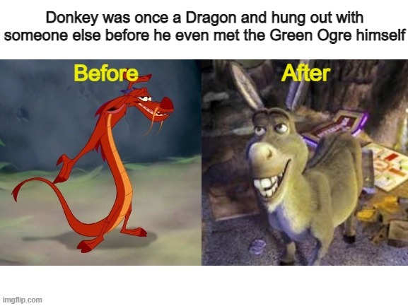 No wonder Donkey married a Dragon | image tagged in donkey from shrek,donkey,memes,shrek,before and after | made w/ Imgflip meme maker