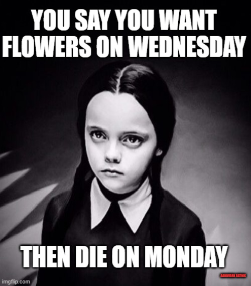 Flower from Wednesday | AARDVARK RATNIK | image tagged in wednesday addams,funny memes,funeral,halloween,sarcasm | made w/ Imgflip meme maker