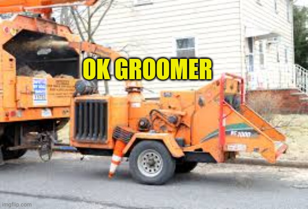 Ok Groomer | OK GROOMER | image tagged in woodchipper,kids,map,sick humor,stupid liberals,stupid criminals | made w/ Imgflip meme maker