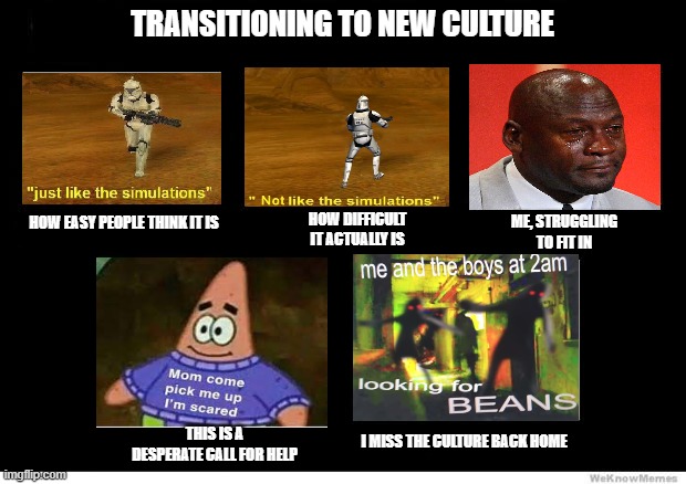 It really is hard, ngl | TRANSITIONING TO NEW CULTURE; HOW DIFFICULT IT ACTUALLY IS; ME, STRUGGLING TO FIT IN; HOW EASY PEOPLE THINK IT IS; I MISS THE CULTURE BACK HOME; THIS IS A DESPERATE CALL FOR HELP | image tagged in what i really do | made w/ Imgflip meme maker