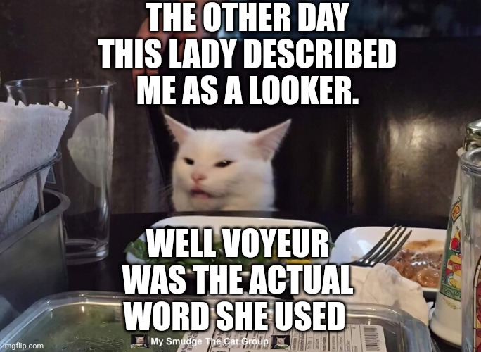 THE OTHER DAY THIS LADY DESCRIBED ME AS A LOOKER. WELL VOYEUR WAS THE ACTUAL WORD SHE USED | image tagged in smudge the cat,woman yelling at cat | made w/ Imgflip meme maker