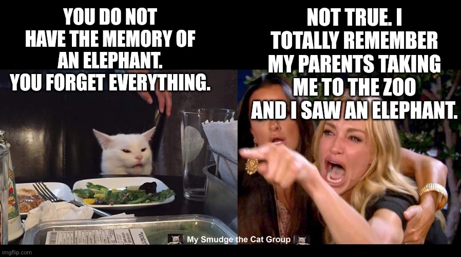 NOT TRUE. I TOTALLY REMEMBER MY PARENTS TAKING ME TO THE ZOO AND I SAW AN ELEPHANT. YOU DO NOT HAVE THE MEMORY OF AN ELEPHANT. YOU FORGET EVERYTHING. | image tagged in smudge the cat,woman yelling at cat | made w/ Imgflip meme maker