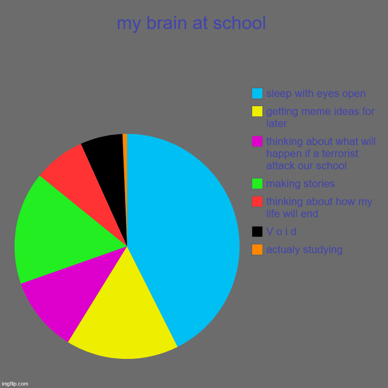 my brain. | my brain at school | actualy studying, V o i d, thinking about how my life will end, making stories, thinking about what will happen if a te | image tagged in charts,pie charts | made w/ Imgflip chart maker