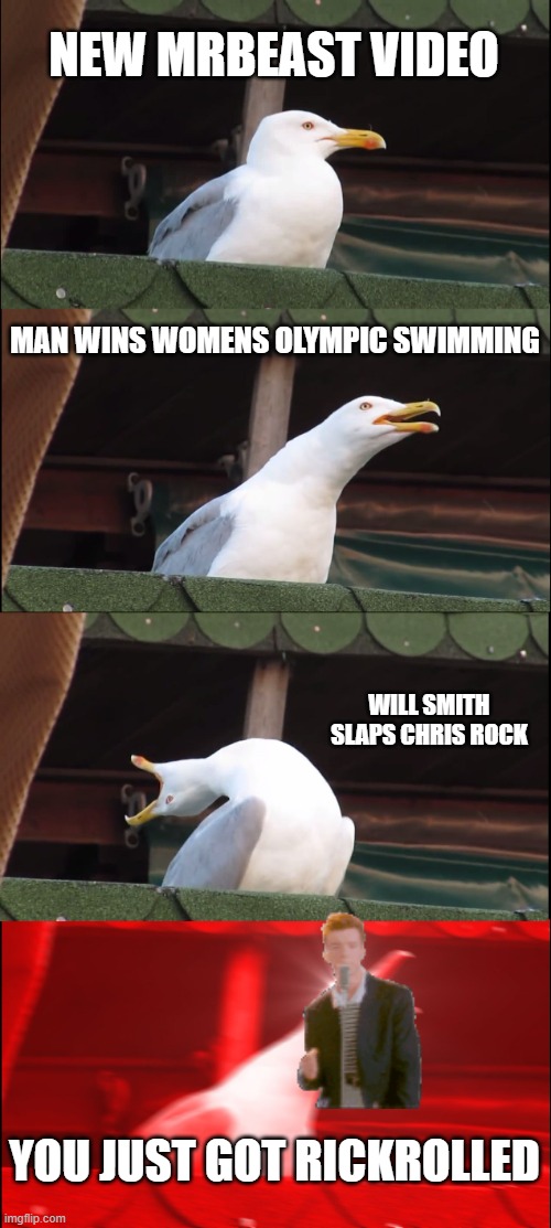 Ladies and gentlemen we gottem | NEW MRBEAST VIDEO; MAN WINS WOMENS OLYMPIC SWIMMING; WILL SMITH SLAPS CHRIS ROCK; YOU JUST GOT RICKROLLED | image tagged in memes,inhaling seagull,news | made w/ Imgflip meme maker