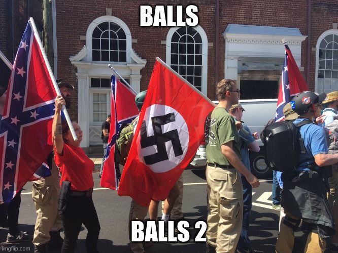 NaziFlag | BALLS BALLS 2 | image tagged in naziflag | made w/ Imgflip meme maker