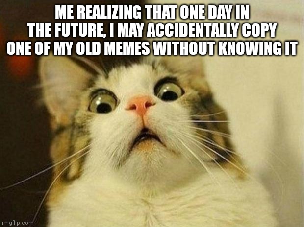 Scared Cat Meme | ME REALIZING THAT ONE DAY IN THE FUTURE, I MAY ACCIDENTALLY COPY ONE OF MY OLD MEMES WITHOUT KNOWING IT | image tagged in memes,scared cat | made w/ Imgflip meme maker